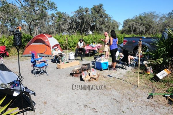 Fisheating Creek Camping: A Guide for Your Next Adventure
nailtravels.com/fisheating-cre…

#nailtravels #fisheatingcreekcamping