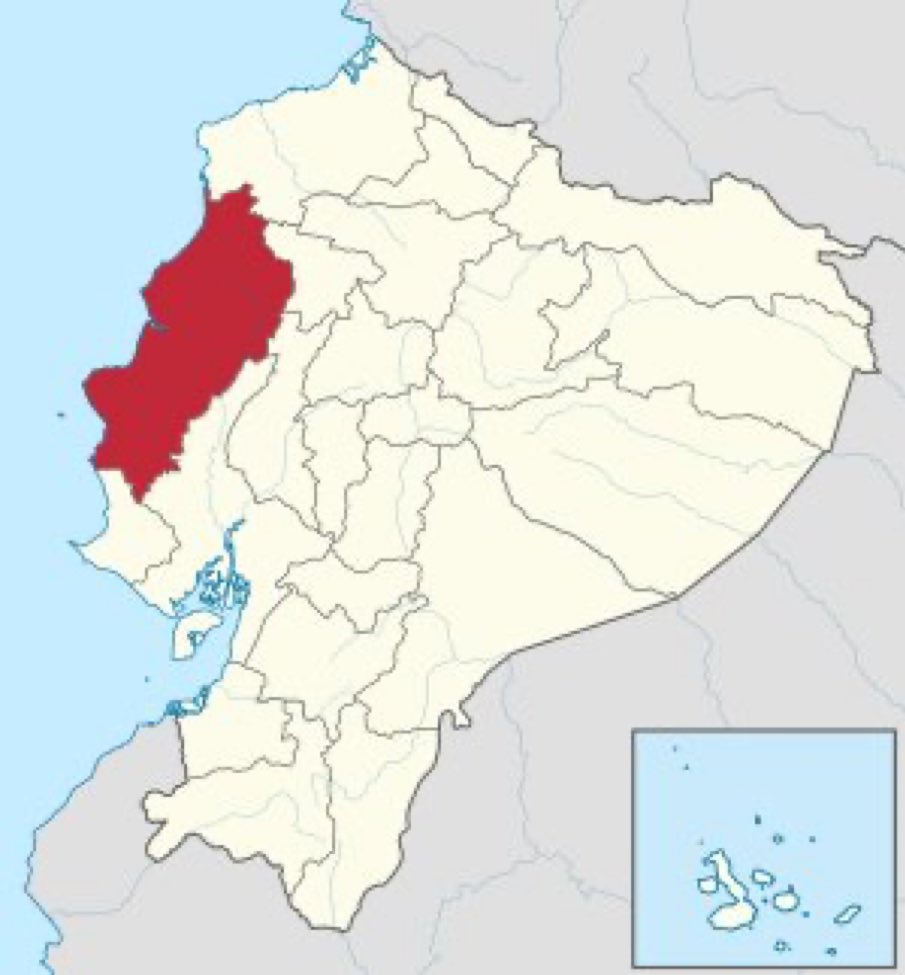 tonicse22's tweet photo. Hablemos de Manabí:
-La segunda mejor provincia del país.
-La mejor comida del país.
-Las mejores playas del país.
-Personajes icónicos.
-Tierra hermosa de mis sueños.
-Gente amable.
Su único defecto es que el 70% de su gente tienen el cerebro lavado por la revolución ciudadana. https://t.co/0N9kgfXmeA