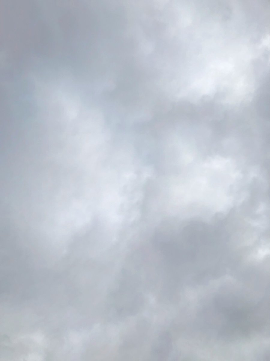 おはようございます！ 今日の #名古屋 は曇り☁️ 昨日はかなり雨が降っていましたね☔️ 来週からはGWに突入ですね✨ 無理なく頑張っていきましょう🙆‍♀️ 本日もよろしくお願いします📷 #企業公式が毎朝地元の天気を言い合う #企業公式が朝の挨拶を言い合う #企業公式つぶやき部 #イマソラ