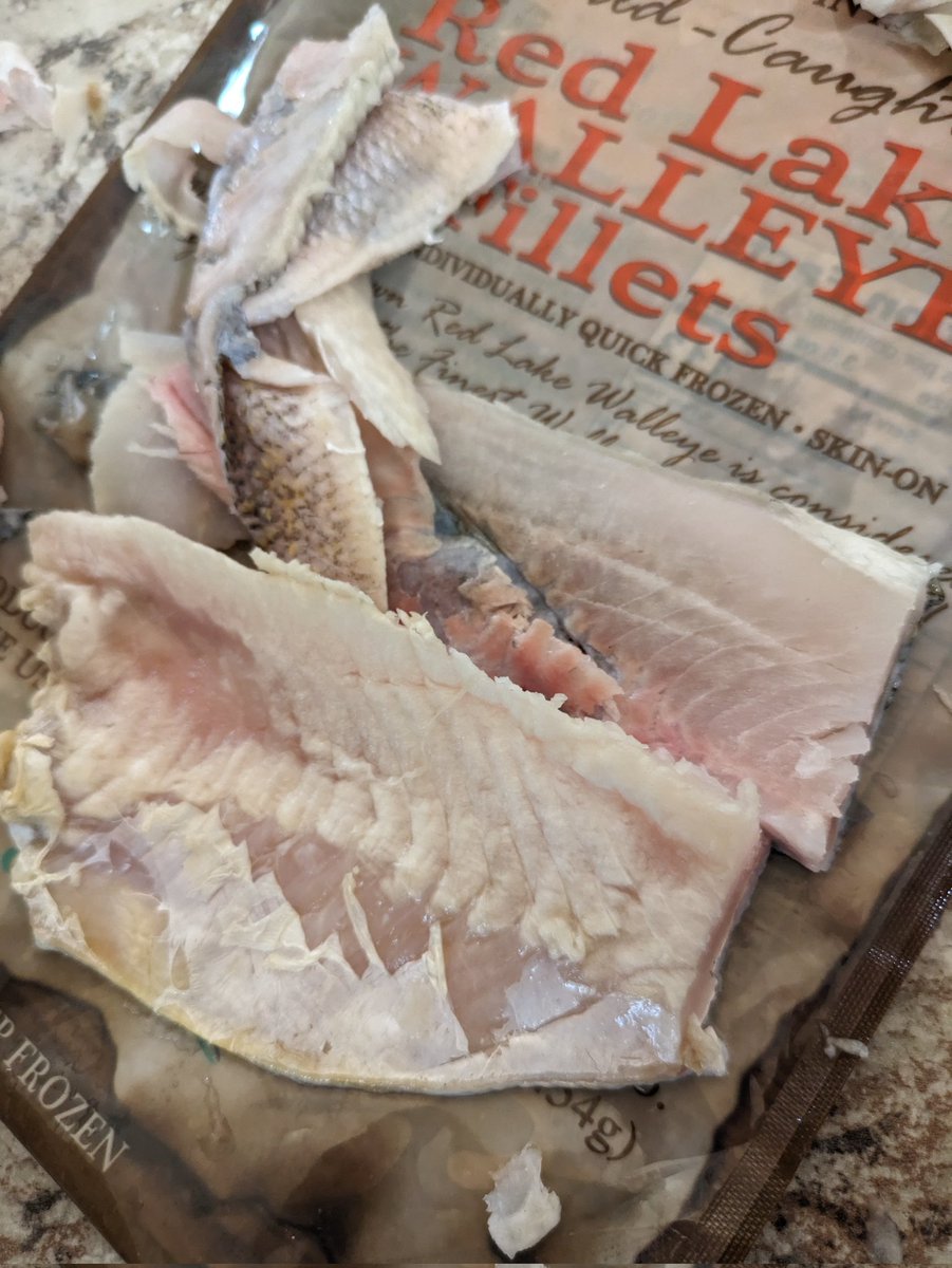 Gregg Maloney tweet media