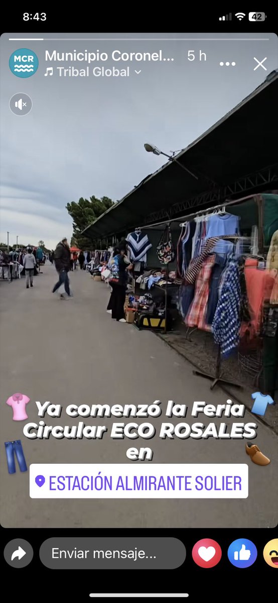 gelossadi's tweet photo. Hermosa Feria Circular Eco Rosales organizada por @Mcoronelrosales . “Todos los caminos pueden ayudar
Si estás ahí, si lo deseás
Este es mi sueño y el de muchos más”… #MundoAgradable https://t.co/6pPjzrzY3D