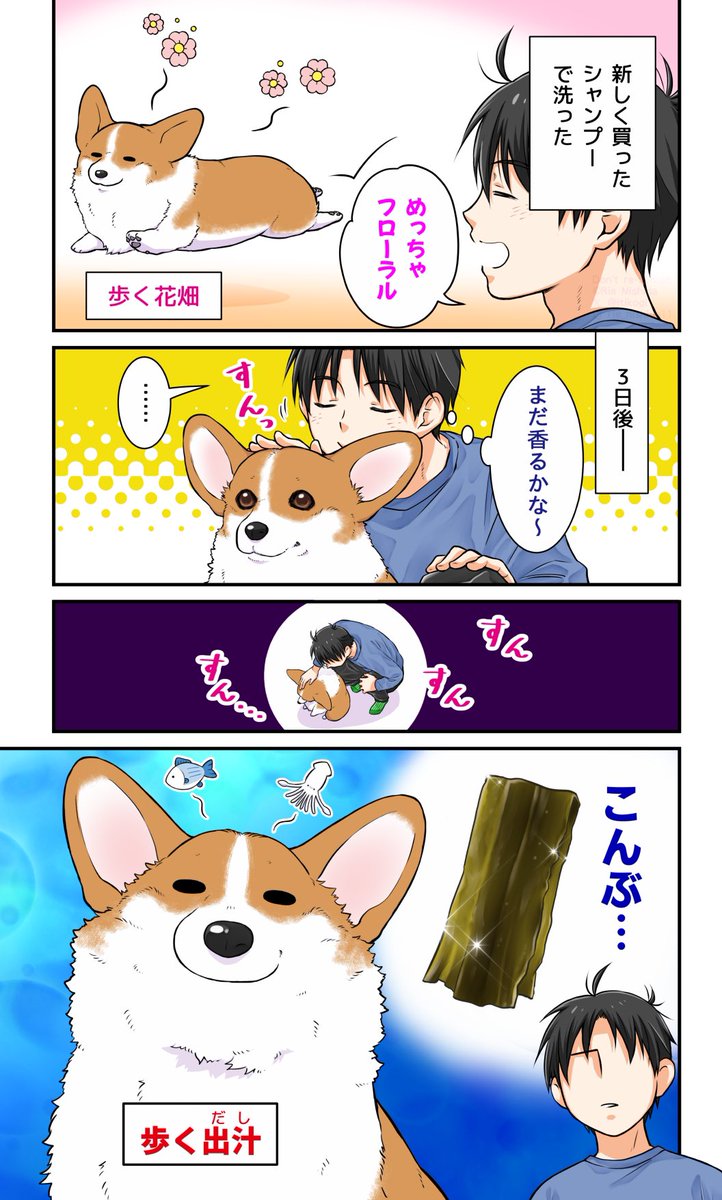 うちの犬の香り