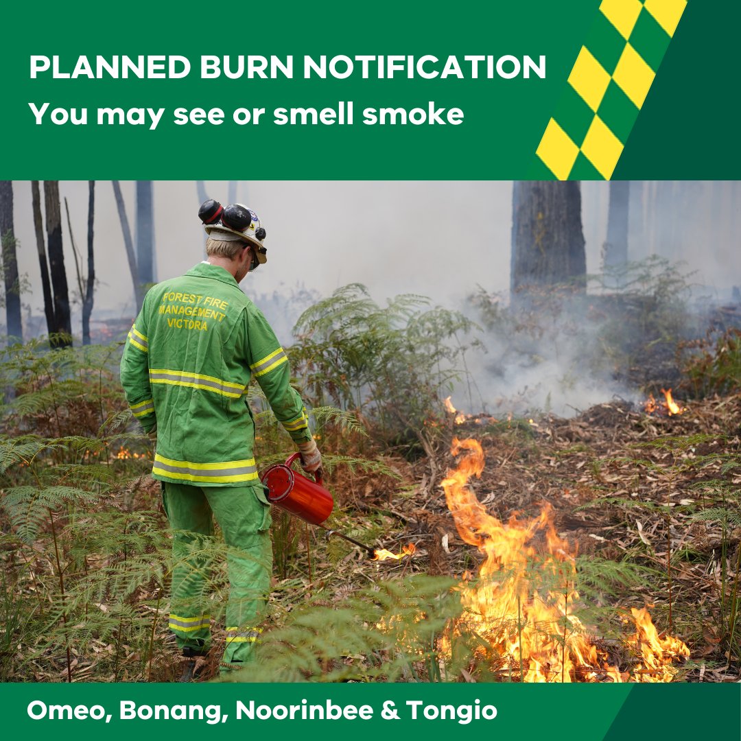 Our crews are #PlannedBurning at Omeo, Bonang, Noorinbee and Tongio this week. You may see or smell smoke. More info at: plannedburns.ffm.vic.gov.au #FFMVic