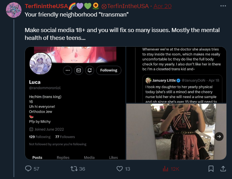 Why would I do that when you're such a good example of what I've said about TERFs? I've said GCs and TERFs only wish to attack people who disagree with them. You attack minors who you don't agree with. You've saved pictures of minors (like Luca, 16) explicitly to attack them.