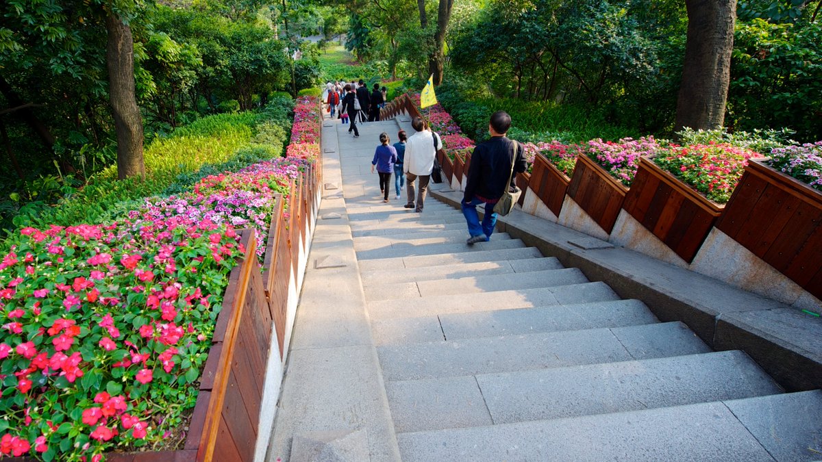 Step into the vibrant world of Guangzhou's Yuexiu Park and uncover the rich history and natural beauty it holds. From the iconic Zhenhai Tower to the legendary Five Rams Sculpture, this park is a treasure trove of wonders! #Guangzhou #YuexiuPark #ChineseHistory