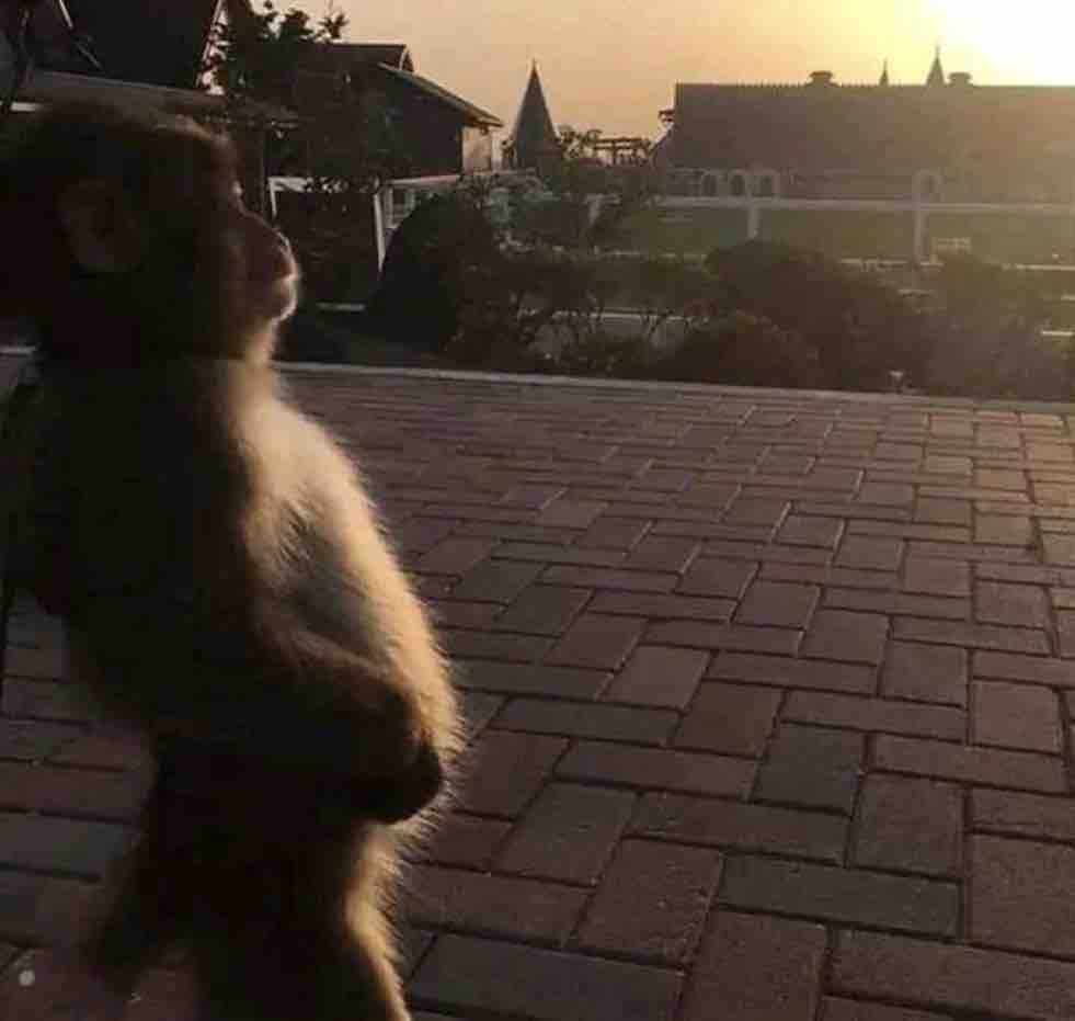 Yo viendo como se acaba el domingo.