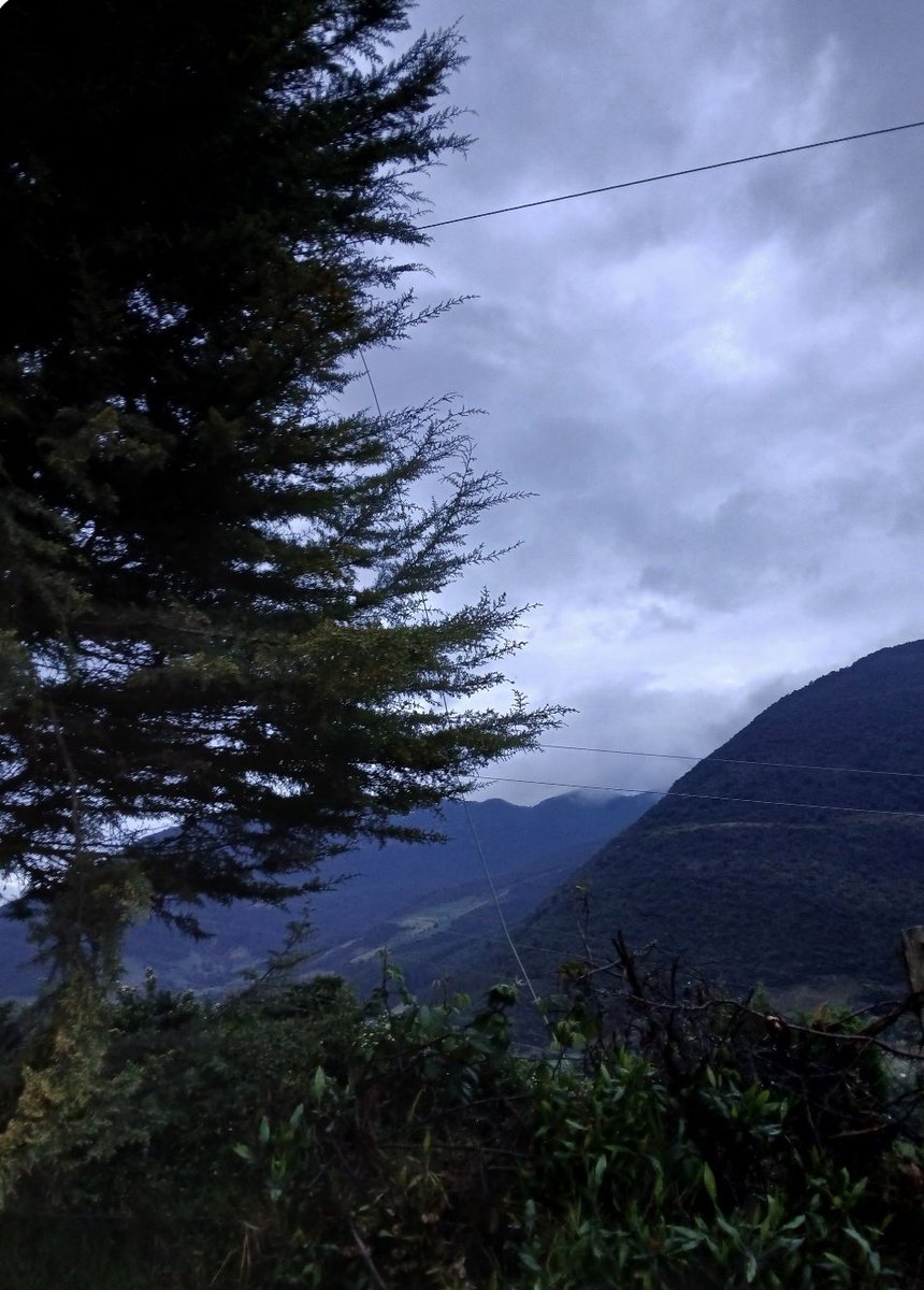 LaIndependenci1's tweet photo. #Atentos Se reporta caída de cuerdas de un transformador sobre la vía principal, en el municipio de #Chíquiza vereda el Cerro, sector El Molino.
La comunidad indica que ya han llamado a la electrificadora quienes en el momento no han hecho presencia. https://t.co/icL9A57c1O