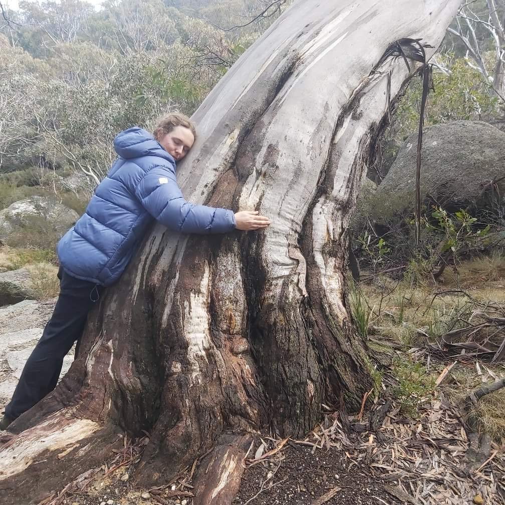 'An early casualty of the climate crisis, Mount Buffalo should set off alarm bells for all of us who love winter & be our kick up the bum into the action needed to save our higher mts from the same fate.' Beautiful tribute to Mt Buffalo by @AnnaSLangford themountainjournal.com/2024/04/21/mou…