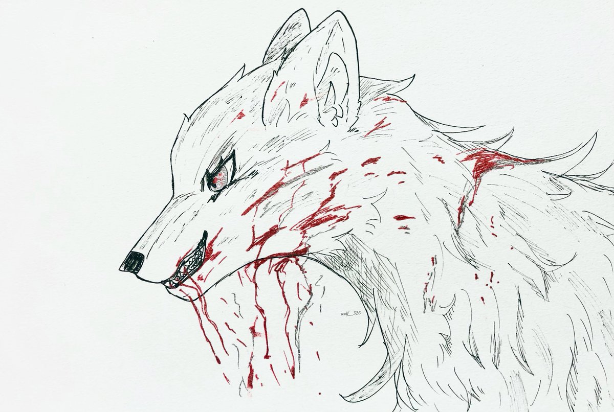 「威嚇」
#狼 #ペン画 #ヴォルフのアート #wildlifeart #wolfart