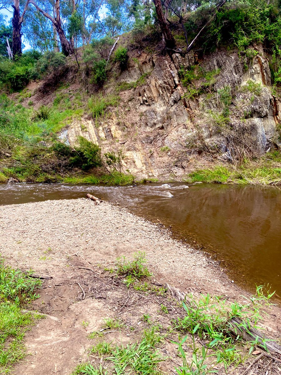 The creek down near my house
#nature #creek #mothernature #walk #melbourne #chill #relax