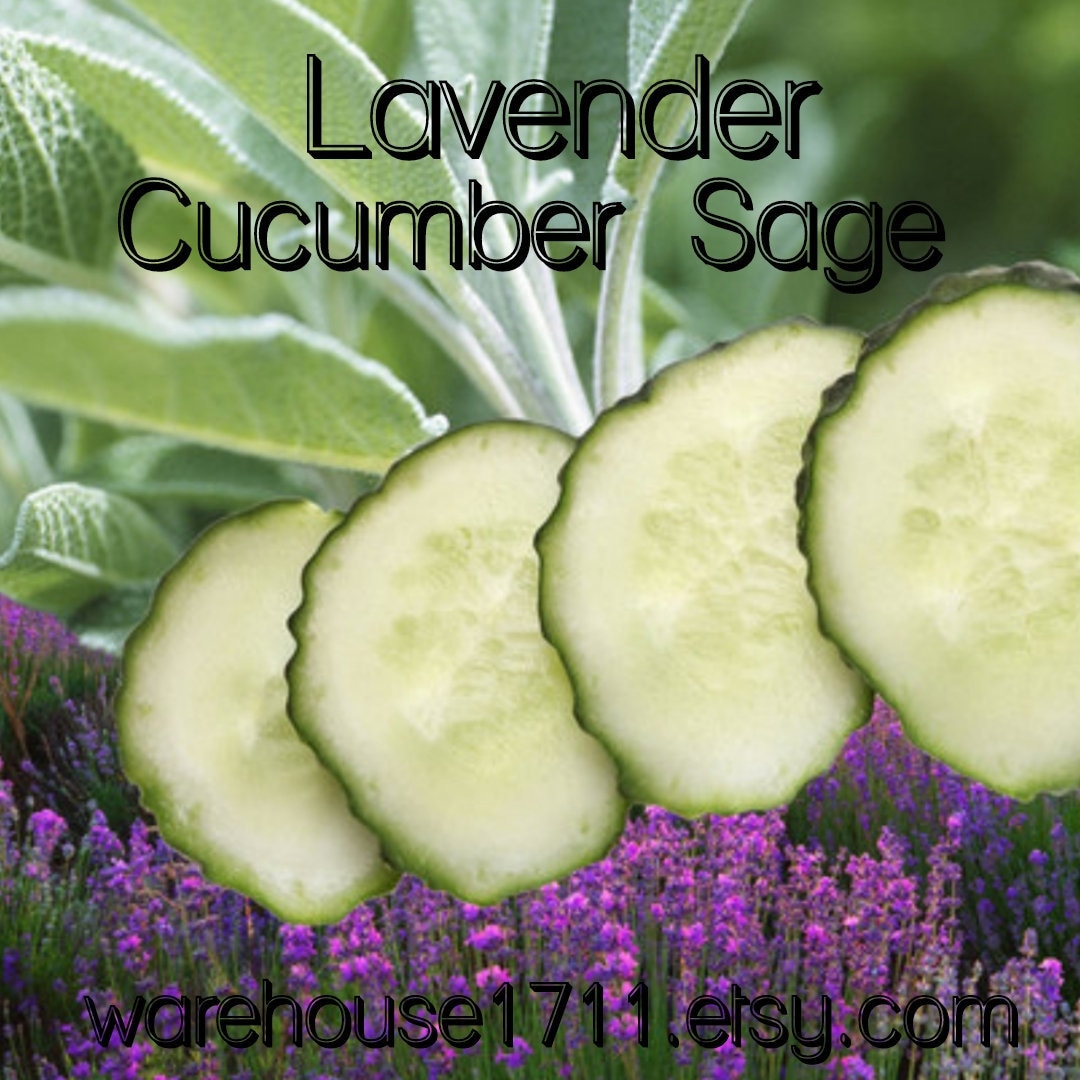 Lavender Cucumber Sage Candle/Bath/Body Fragrance Oil tuppu.net/8a1d2f38 #dtftransfers #candlemaker #explorepage #candleoils #handmadecandles #aromatheraphy #glitter #Warehouse1711 #CandleSupplyShop