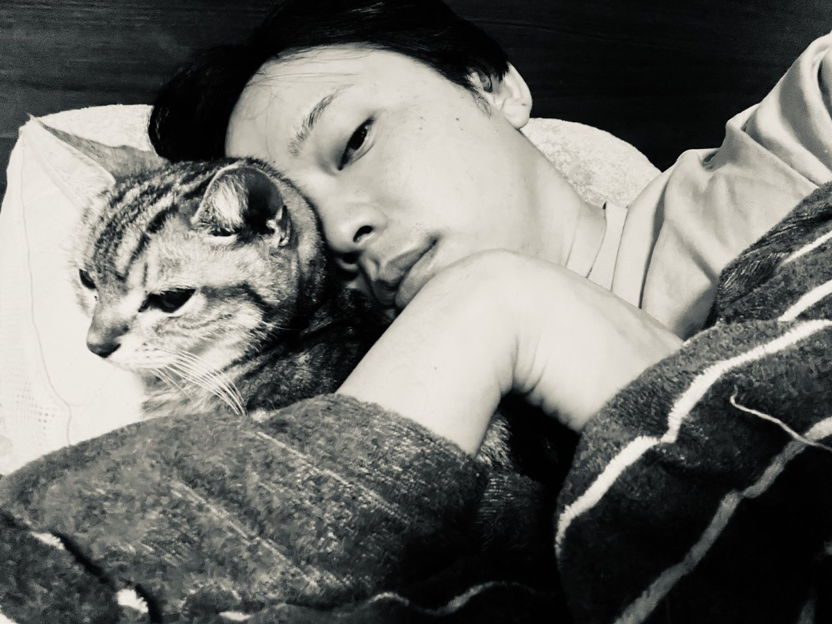 猫イチャおじさんの避難アカです
どうぞよろしく