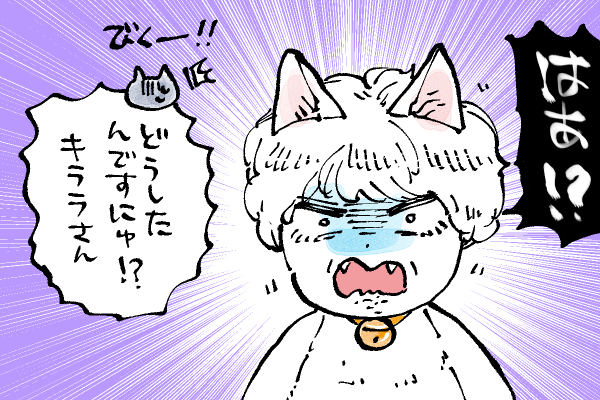 🐱キラキラにゃんこ生活
あれ❓大きさが…🙀 