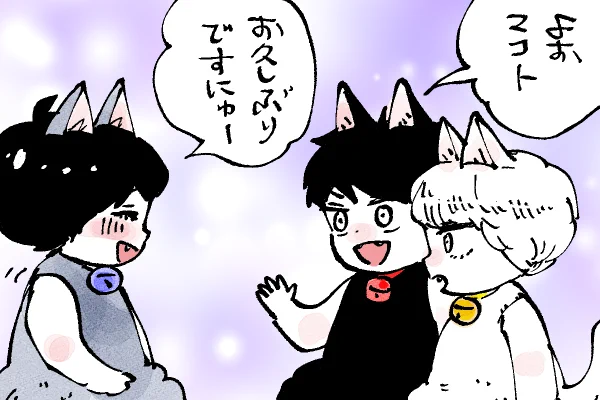 🐱キラキラにゃんこ生活
あれ❓大きさが…🙀 