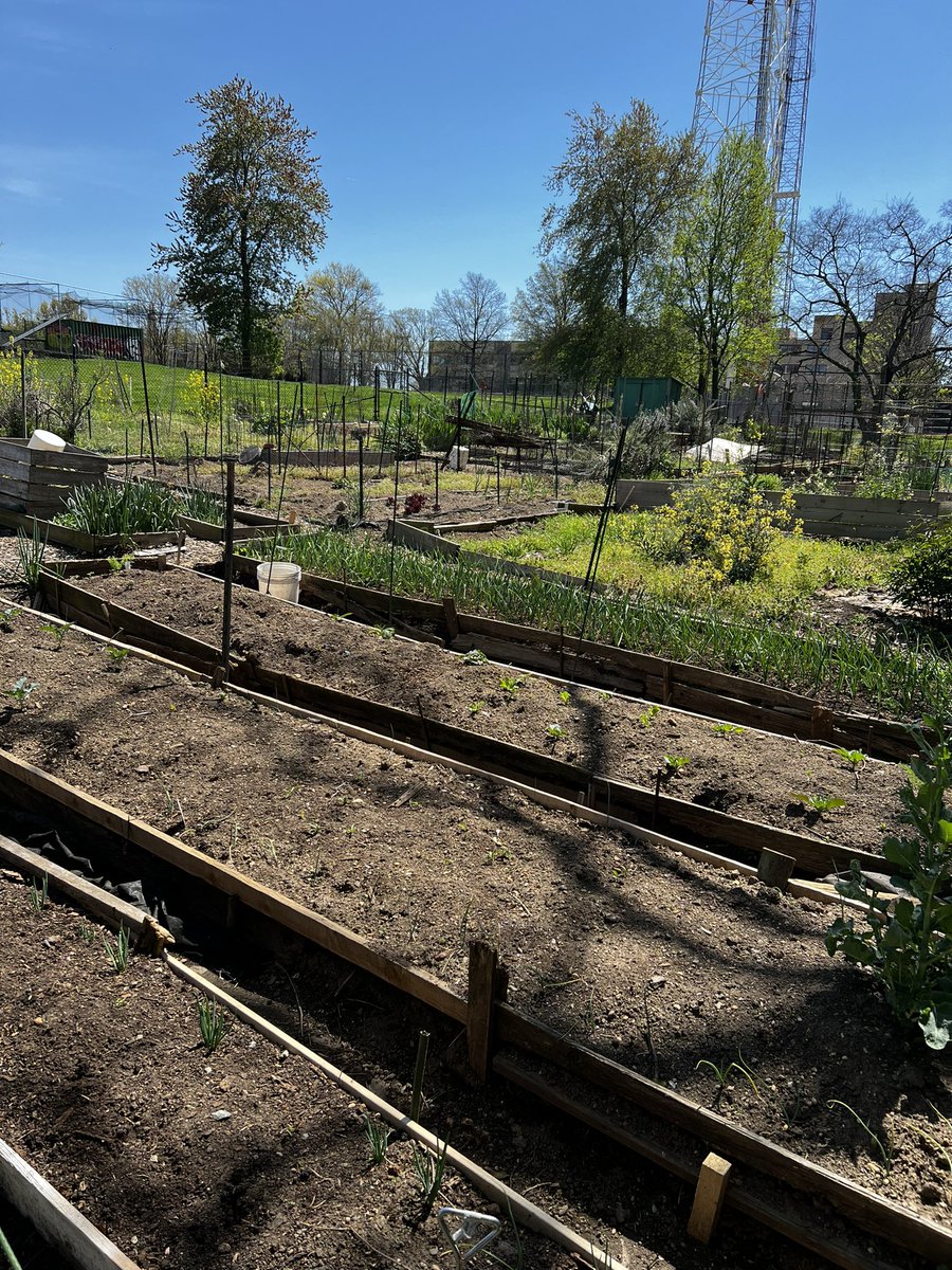 The community garden in Fort Reno Park is getting ready for the new season. 

#FortRenoPark #Tenleytown