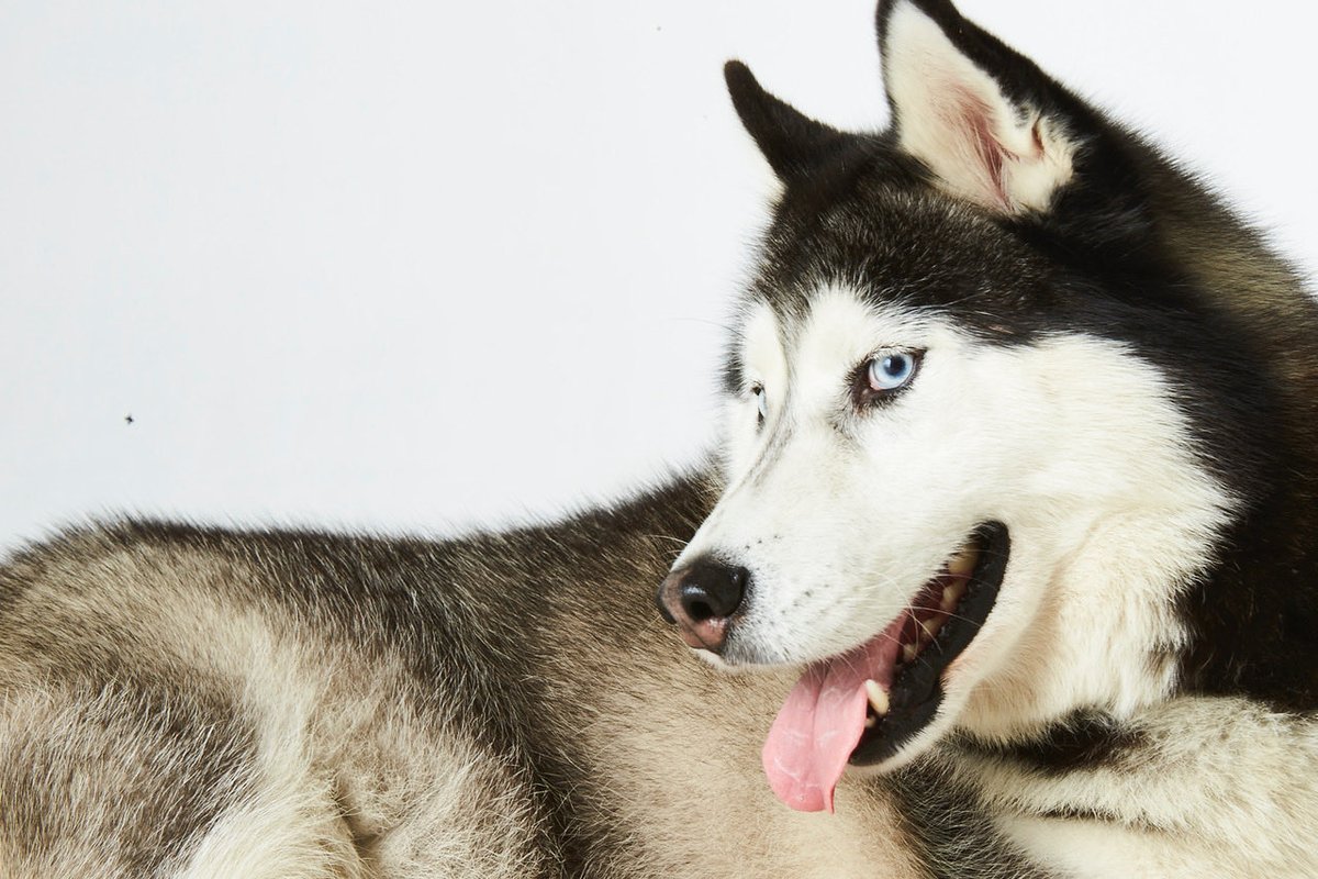 StrokeAus's tweet image. Even better!