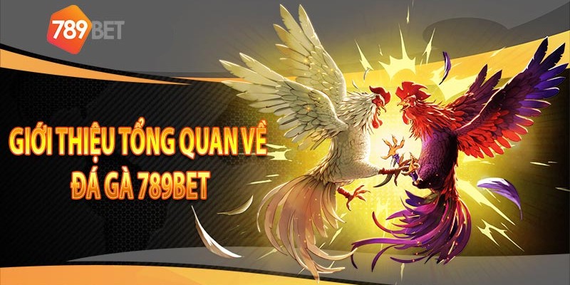 Những Khuyến Mãi Và Ưu Đãi Đặc Biệt Cho Người Chơi Bắn Cá Trên 789bet