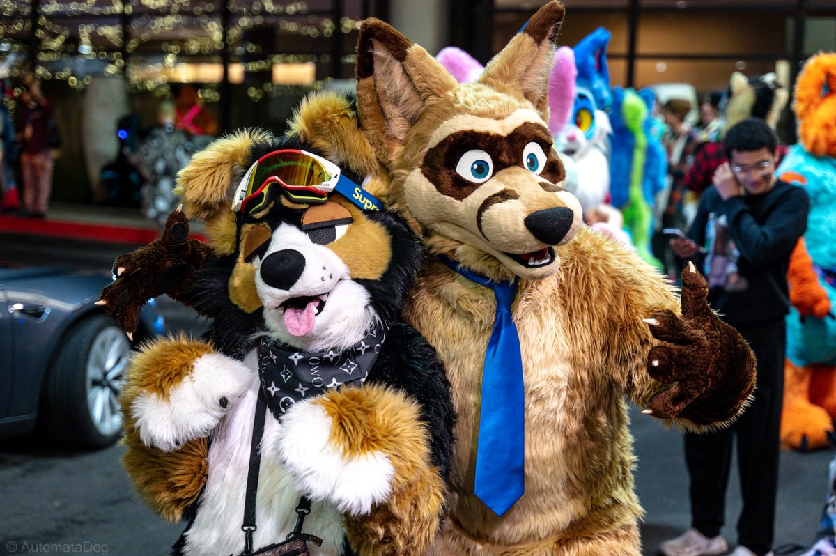 AutomataDog tweet media