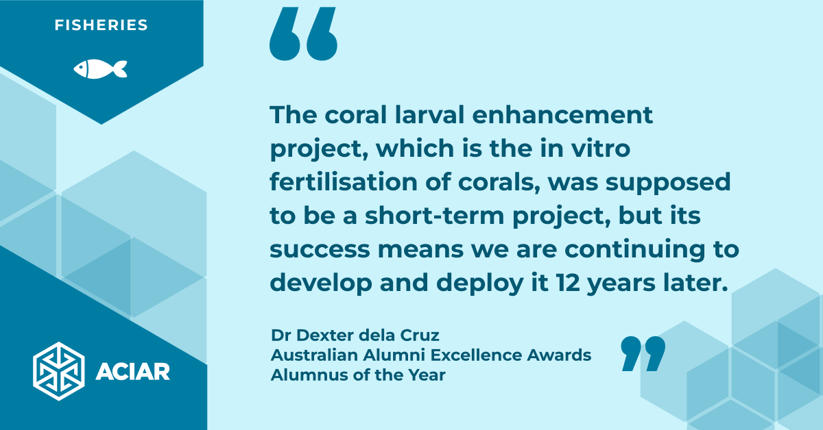 🐠 Former #ACIAR JAF, Dr Dexter dela Cruz, has significantly contributed to coral reef restoration, notably through ACIAR-supported projects and his collaboration with Professor Peter Harrison from @SCUonline 

Read more bit.ly/3xq0uc9

@AustraliaAwards #ACIARAlumni