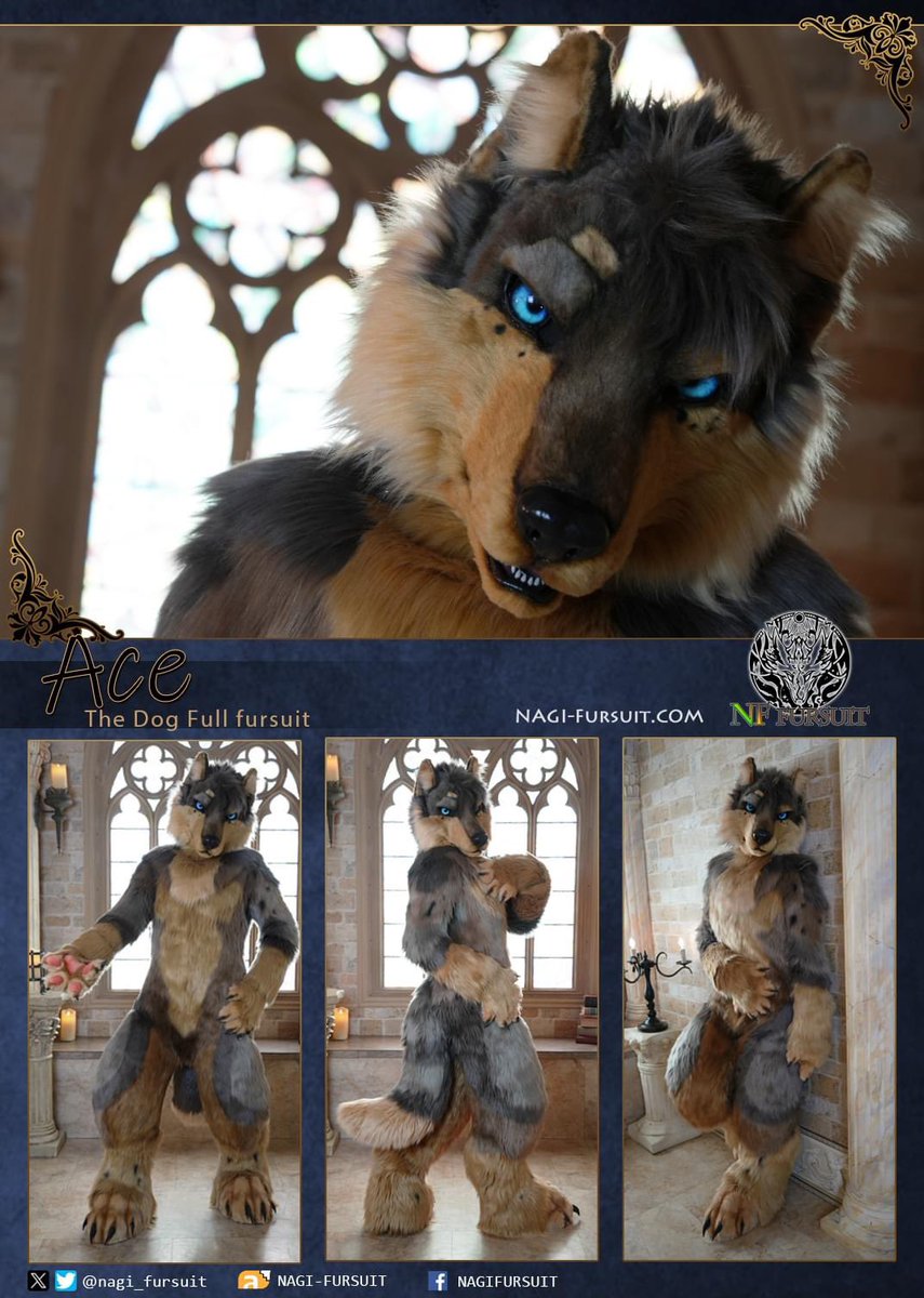 Dog Fursuit Ace-COMM Ace is a handsome dog who loves the natural earthy tones on his body, which look very comfortable and highlight his beautiful, gem-like blue eyes. Ace also sports a sleek and stylish haircut, adding significantly to his charm!