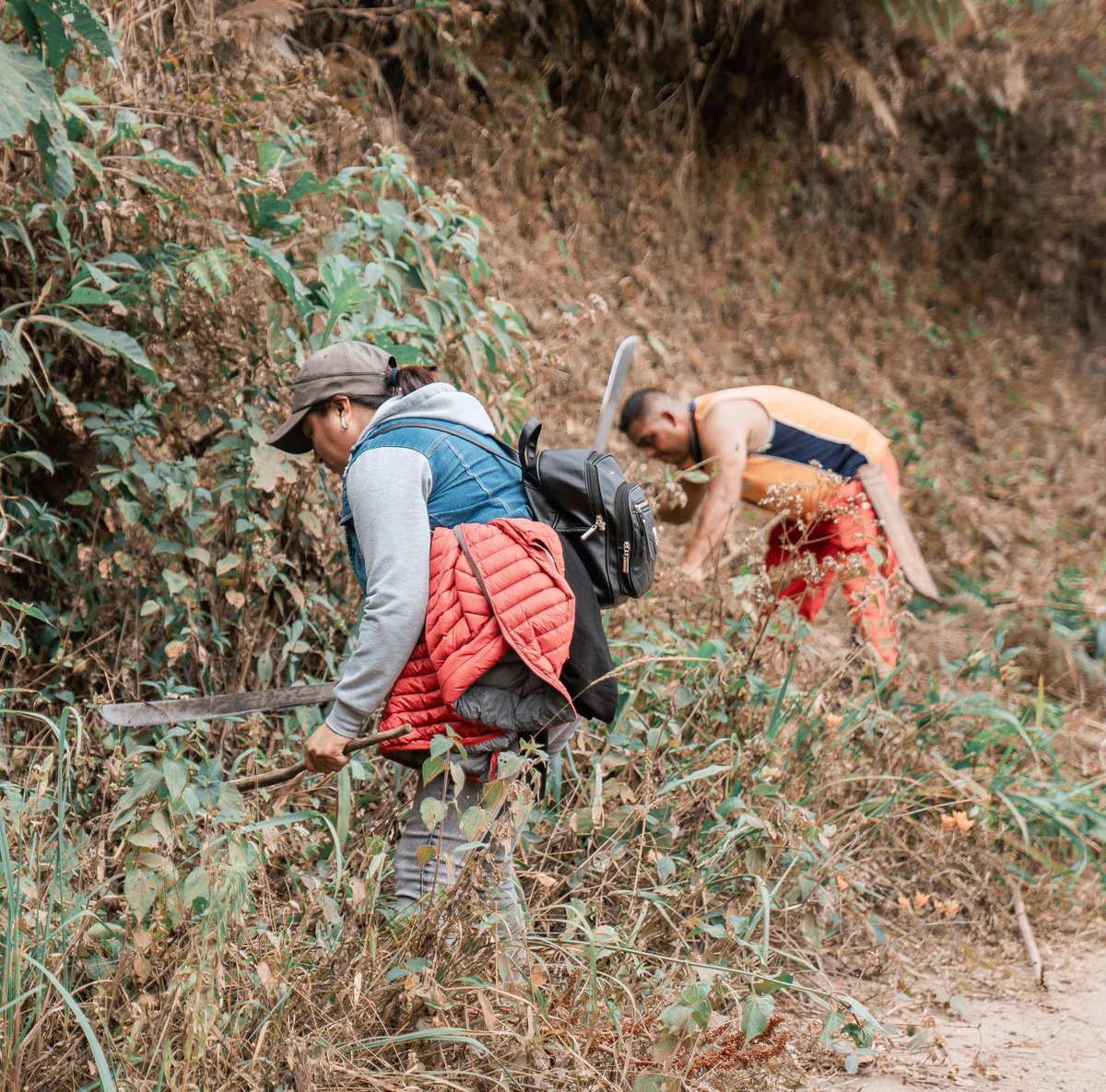 Solos podemos hacer poco, juntos podemos hacer mucho.

Hoy nos la rifamos con las amigas y amigos de San Juan Tahitic en este #DomingoDeFaena, le entramos a la chapeada y a la limpieza de cunetas para dejar el camino que conduce a esta localidad bien limpiecito.