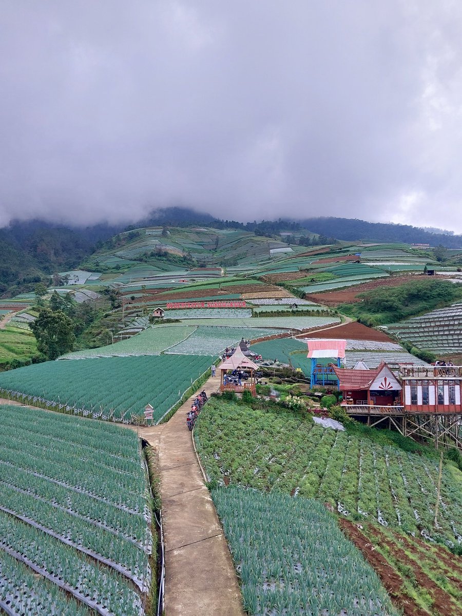 Men_javanese's tweet image. Selamat pagi.....
Klo datang kesini siapin tenaga maksimal...jgn lupa pegangan yg erat pas naik motor...
#GoodmorningTwitter