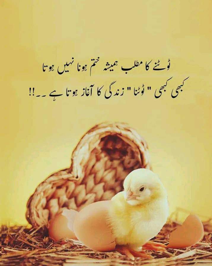 اللہ پاک سب کو ایسا ٹوٹنا کا ہمت جو نئی زندگی کا اغاز کرے 😘💯
#رمضان_معانا 
#RamadanKareem 
#BabarAzam 
#HBLPSL2024