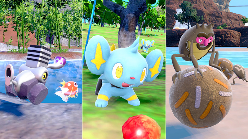 Pokémon Escarlata y Púrpura anuncia el próximo evento de apariciones masivas. Sus protagonistas serán Magikarp, Varoom, Shinx y Rellor. A partir del 25 de abril hasta el 6 de mayo. 👉 Más detalles en centropkmn.com/2024/04/21/pok…