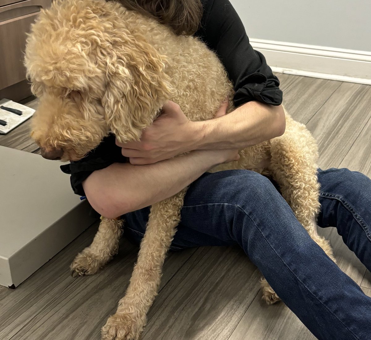 resilientmirror's tweet photo. I did what was best for him.. I could never allow him to live a life of suffering. I had to let him go. Thank you all for the prayers.. I’m thankful for the 14 years I got with him and it was all worth it in the end. ♥️ https://t.co/ODUaSMIxsF