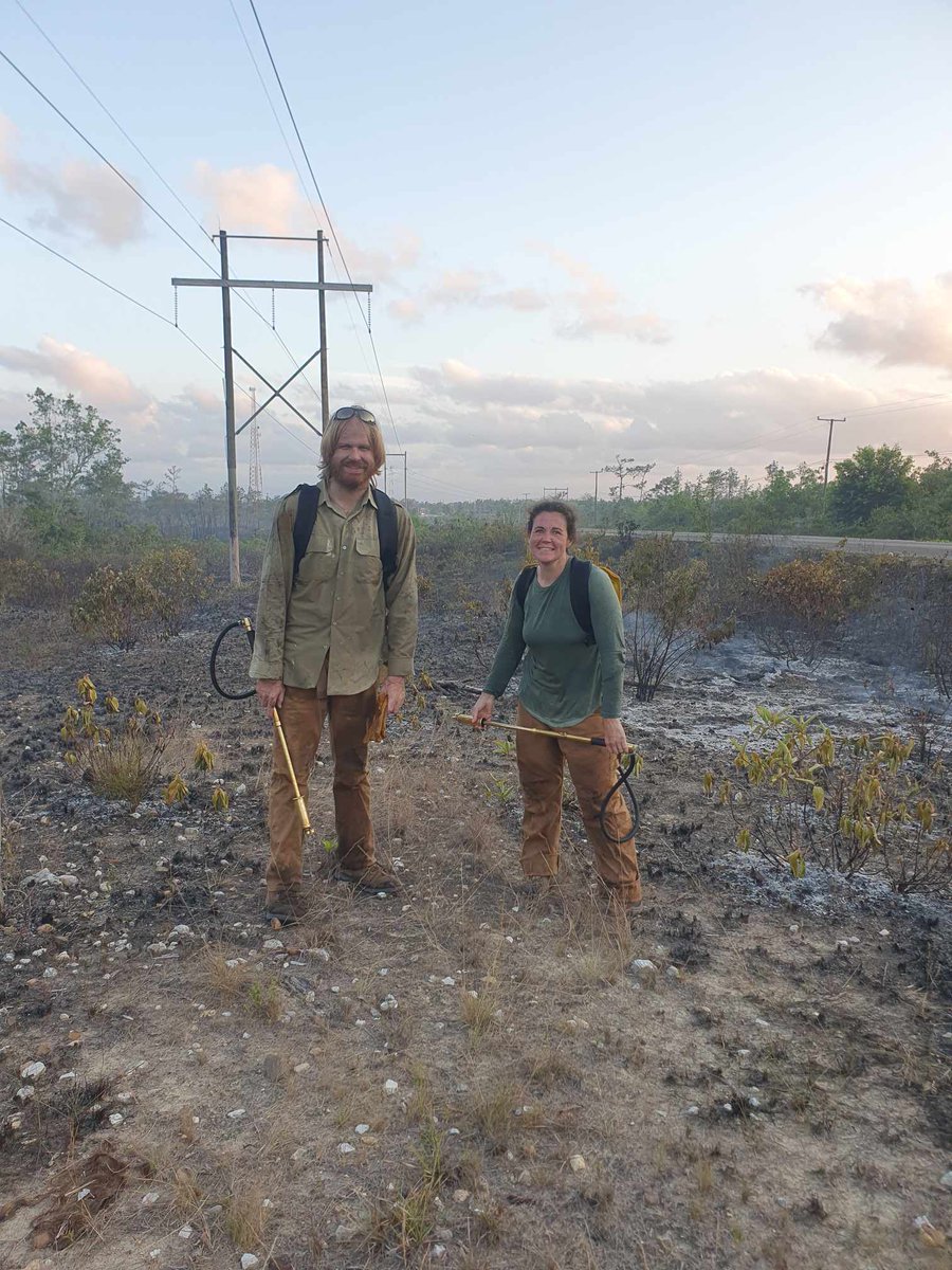 Life here can be a bit unpredictable. One minute we're planning a trip to a conference in Borneo (#WCH10), the next we're helping @ZooBelize and @WCSBelize put out a wild #fire across the road from us. Thanks to everyone involved. It's wonderful having such fantastic neighbors!