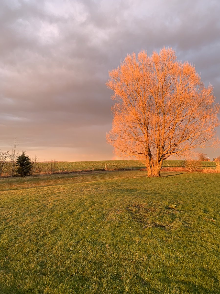 Sunset in Avonport in the Annapolis Valley. Here on a week-long writers retreat. Good omens and good light.