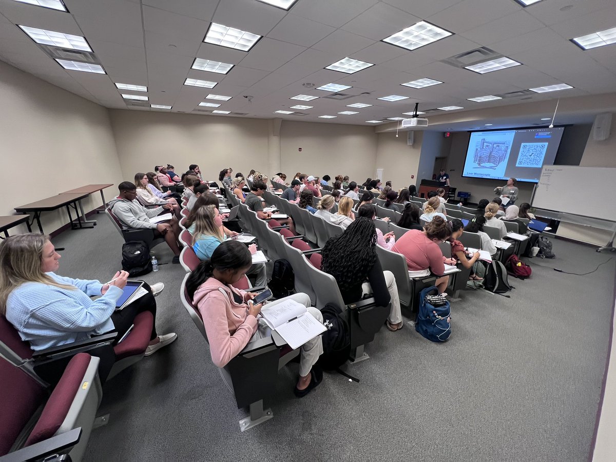RaiWilk's tweet photo. Diving deep into the BMD 252 Exam 4 workshop today – building skills and confidence for success! Go Jags!🐾📚 https://t.co/UTBcrEK7F6