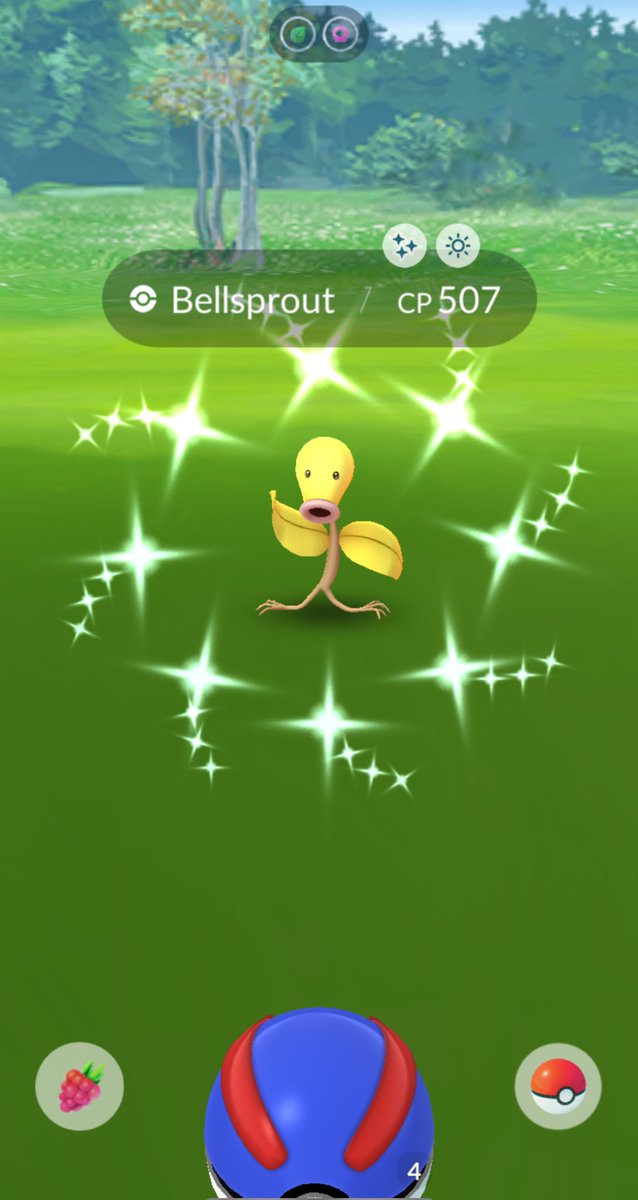 On today’s Pokemon adventure, I caught two Shiny Bellsprout 🌱 And why does this Sunday feel like summer? It’s 88 degrees in LA! How many shinies did you catch in #PokemonGo?