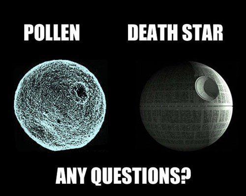 😆 Makes sense...

#Pollen #Allergies #AllergySeason #DeathStar #MondayVibes #MondayMeme #MemesFunny #BlackwellFun #BlackwellPropertyManagement