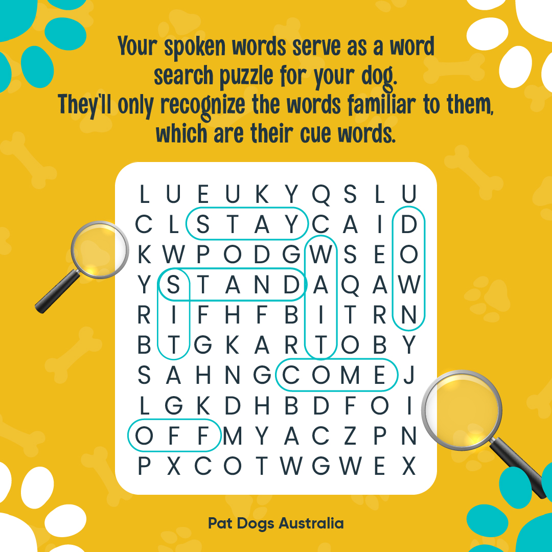 Your words  are like a puzzle to your furry mate. They'll pick out the ones they  know, their cue words, to figure out what you're saying. 🐾🔍 #DogCommunication #assistancedogs #therapydogs #mentalhealth #iliketopatdogs