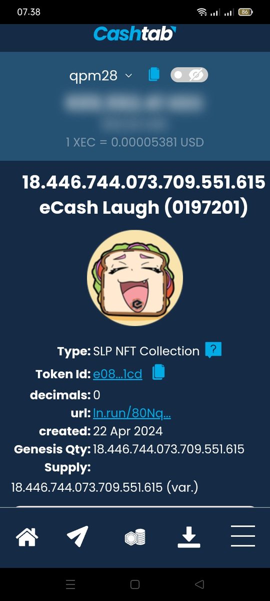 Nft in cashtab is active, let's make our creations... #eCash $XEC #NFTcashtab