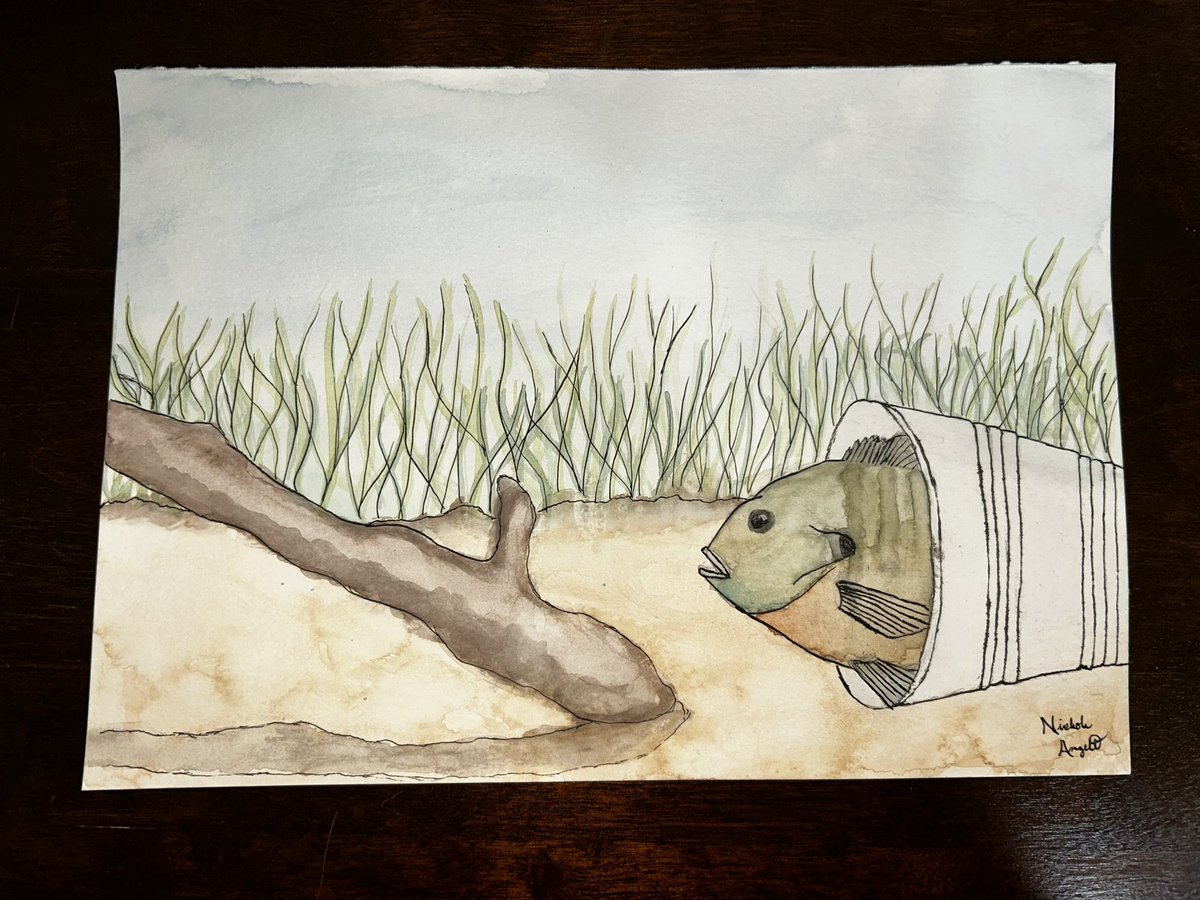 Happy almost Earth Day! 🌎 

I chose a bluegill for this weeks #sundayfishsketch theme. Marine fishes aren’t the only ones impacted by plastic pollution.
