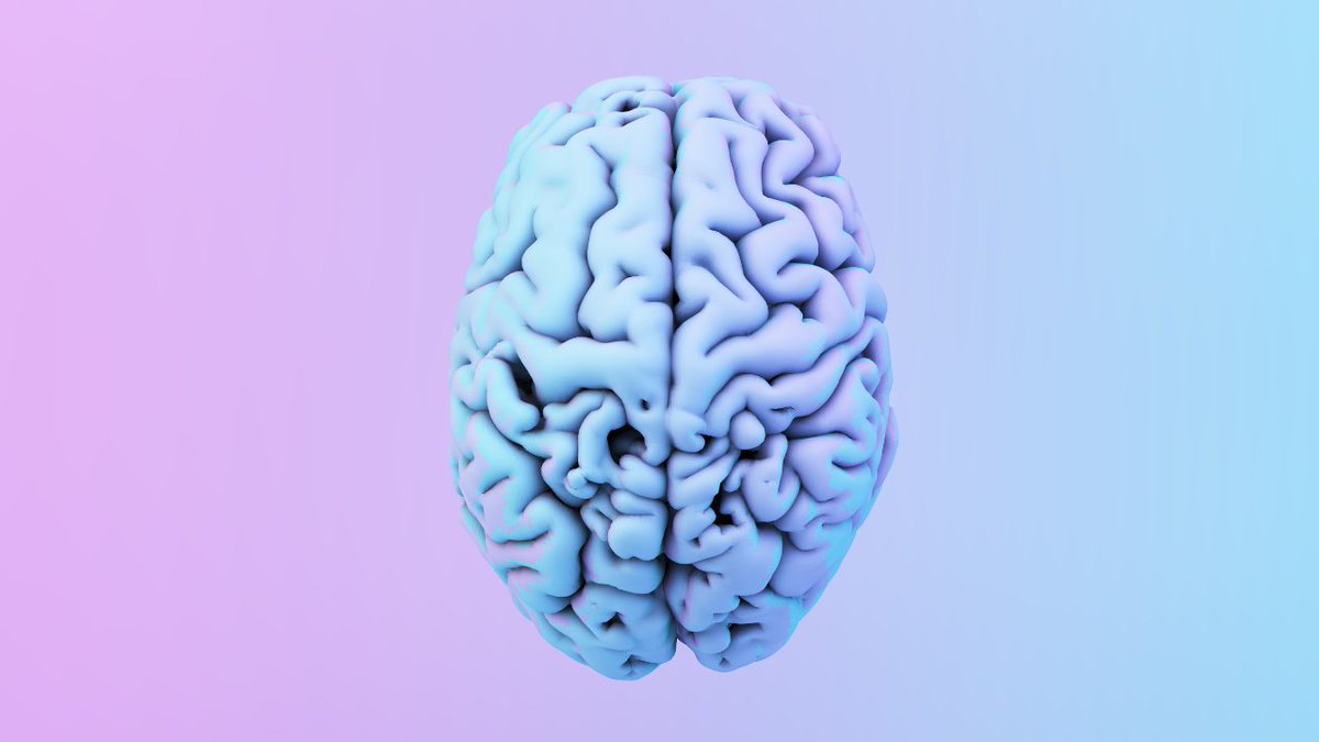 YHYS_Podcast's tweet photo. #LeakyBrain: A compromise to the blood-brain barrier can allow neurotoxic blood-borne molecules & substances (e.g., heavy metals, damaging proteins like zonulin) to leak into the brain, leading to an overactive immune system & #neuroinflammation.
https://t.co/Pt1LOmfjDN https://t.co/bOI9CikXMe