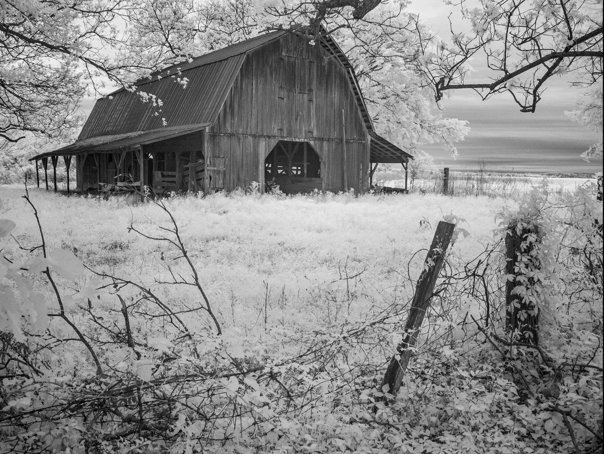 An old barn near Scott, in infrared black and white. 

#arkansasdelta #arkansas #infrared #infraredblackand white #infrared_photography #arkansasphotography #wonderfularkansas