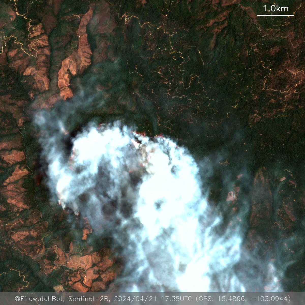 firewatchbot's tweet photo. Fire detected from #Sentinel2

🗺 Place: Coalcomán de Vázquez Pallares, Michoacán, #Mexico
🕛 Date: 2024/04/21 17:38UTC

View location: https://t.co/ZAtfhXi5NU (18.4866, -103.0944) https://t.co/2xzDn9Vi8t