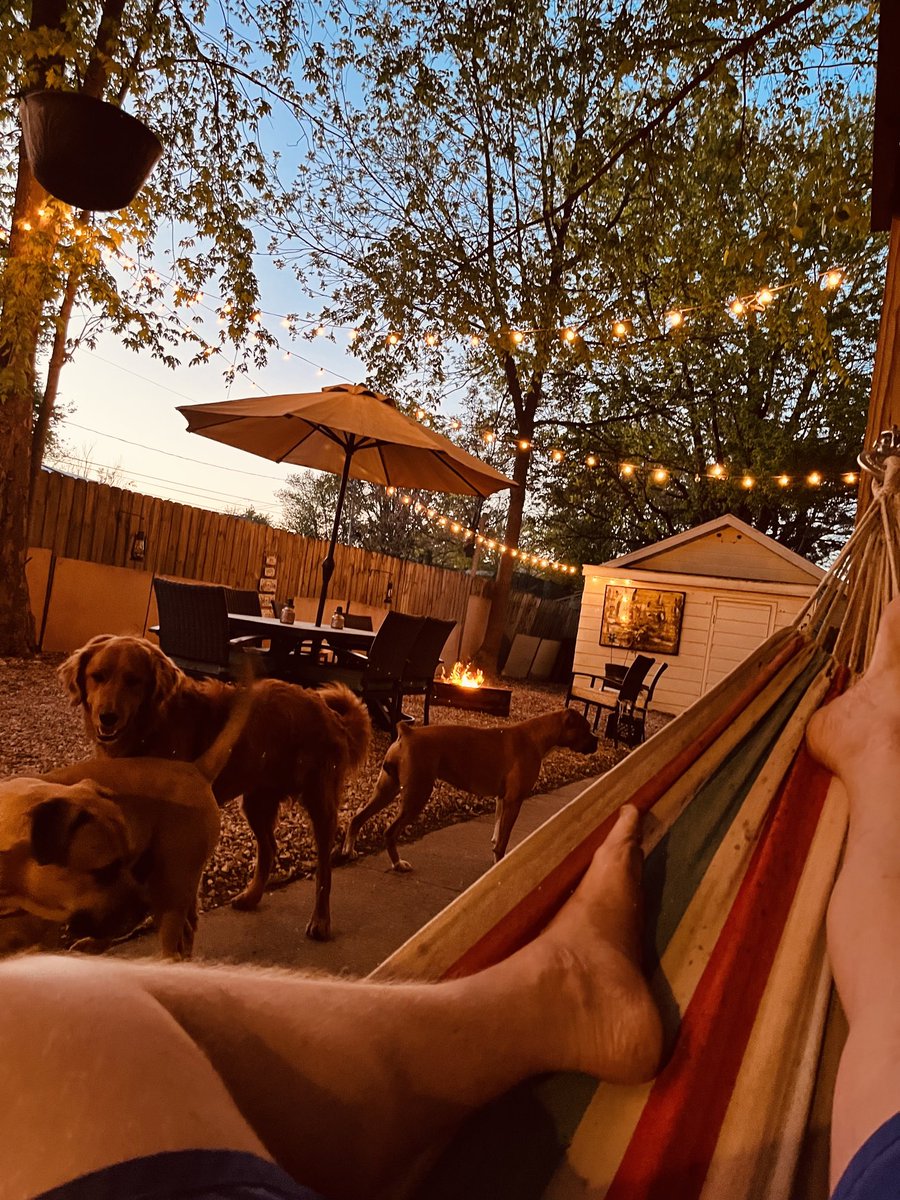 Hammock + dogs + fire pit = heaven on earth