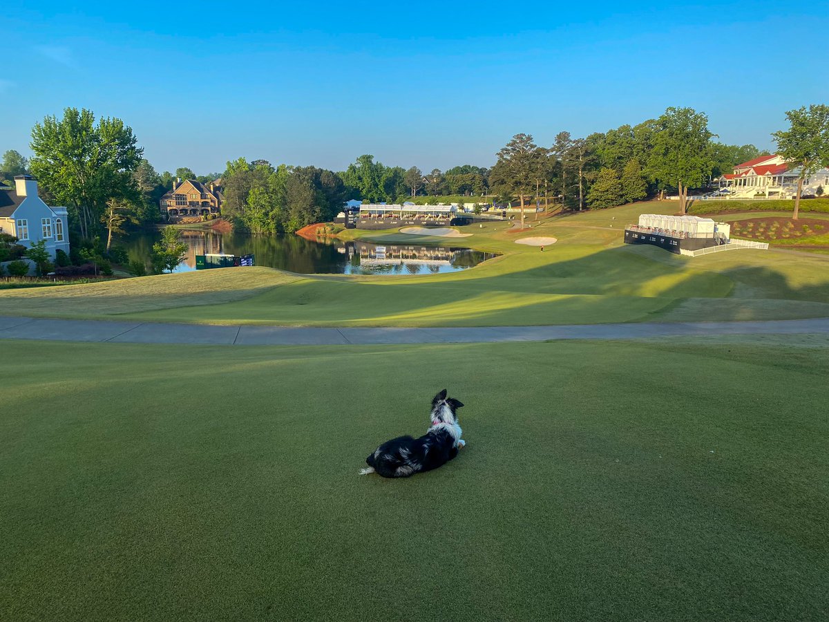 The wait is almost over! Less than 12 hours until tournament week begins. ⏳⛳️