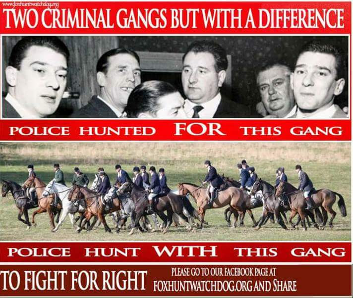 Two criminal gangs but with a difference 👇 #TotalHuntingBan #BanTrailHunting #TrailHuntingSmokescreen #CustodialSentencesForHuntingCrimes #RecklessClause