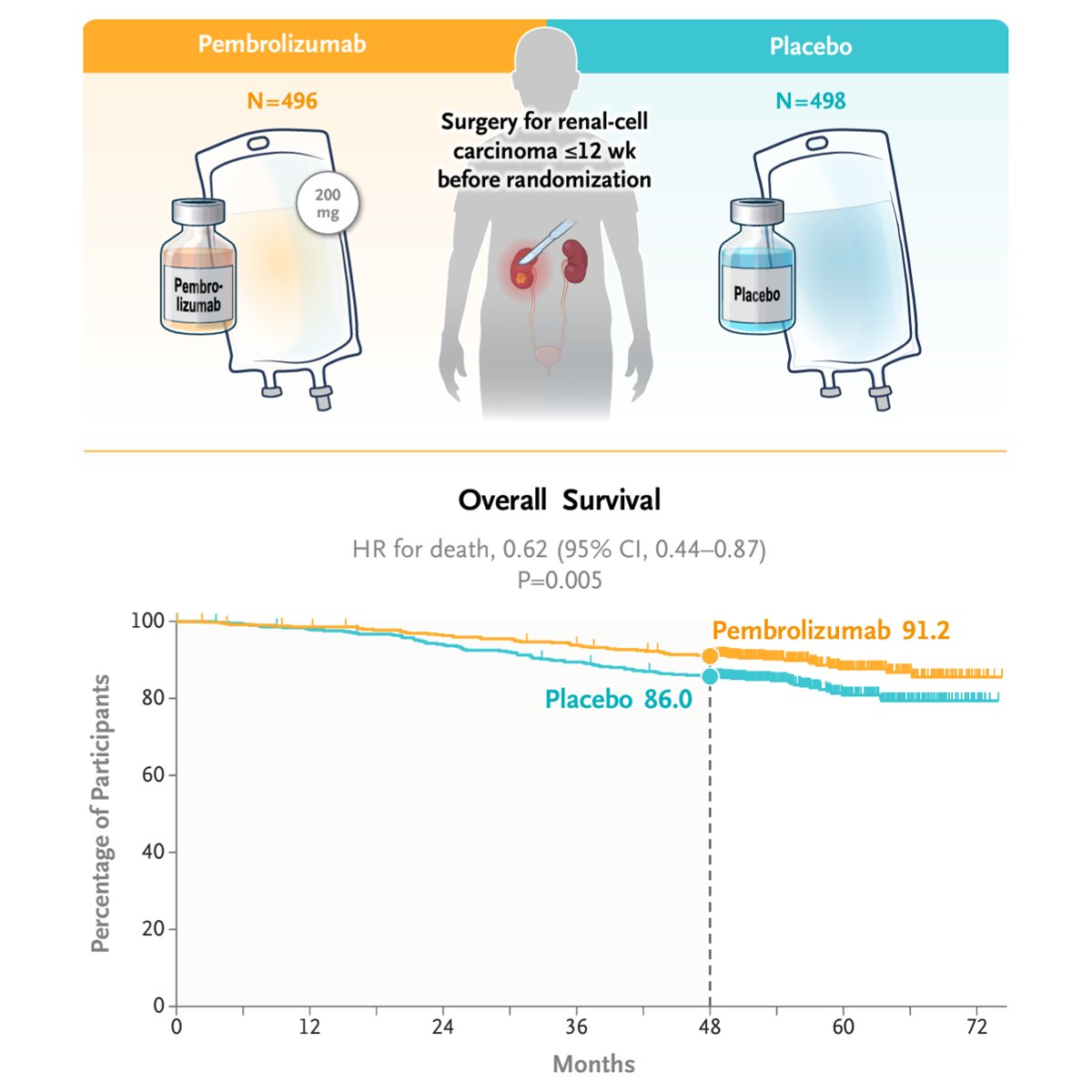 The anti–programmed death 1 antibody pembrolizumab was approved by the @US_FDA as adjuvant therapy after surgery for renal-cell carcinoma on the basis of improvements in disease-free survival observed in KEYNOTE-564. Data on overall survival are needed. nej.md/3TVLuKz