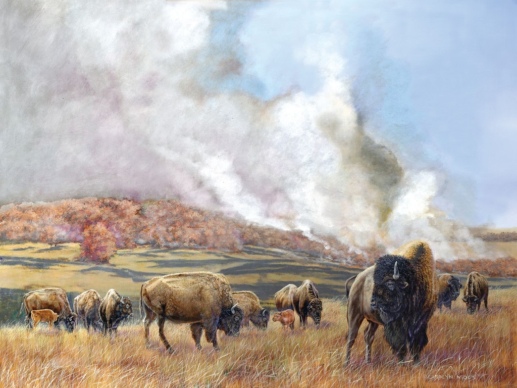 Woolaroc collection artist, Carolyn Mock, will be featured amongst 36 other artists in our WAOW Invitational Exhibition & Sale on Saturday, May 4th. To purchase tickets or bid via proxy, please visit: bit.ly/WAOWInvitation…
Pictured: Fire on the Prairie