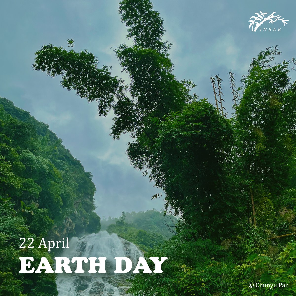 Happy #EarthDay! 🌍🌎🌏🎋

Nature-based solutions like #bamboo and #rattan play a crucial role in protecting our planet by reducing plastic pollution, restoring degraded land, conserving biodiversity, and much more.

Let's make every day <a href="/EarthDay/">EARTHDAY.ORG</a>! 
🔗 earthday.org/earth-day-2024/