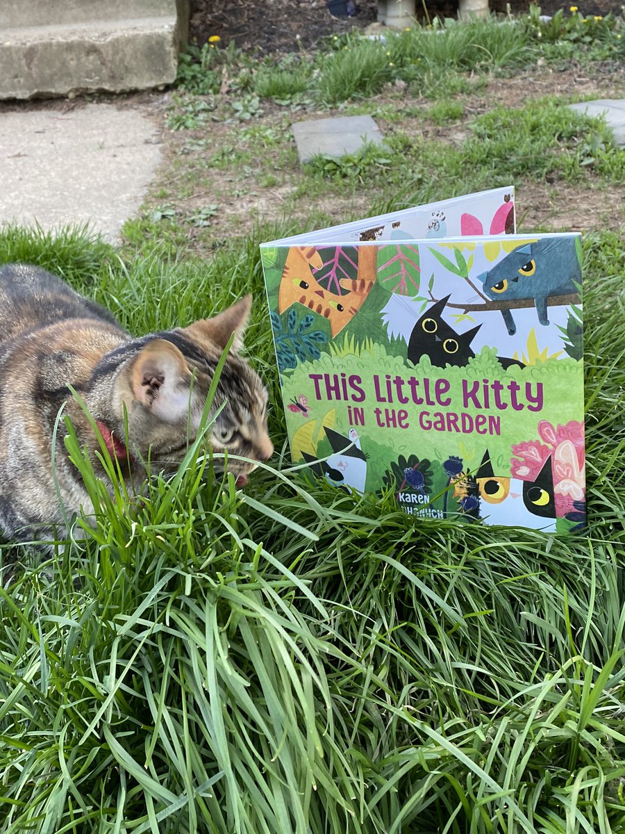 KristenFrame1's tweet photo. @ktoART Karen Obuhanych’s This Little Kitty In the Garden is today’s 📚to #readtoyourcat! #Saoirse liked it almost as much as grass. In this #FurryTale, 5 little kittens enjoy the wonders of spring as they spend time in the garden. At your #library & #localbookstore. https://t.co/6VK8UVVsbj