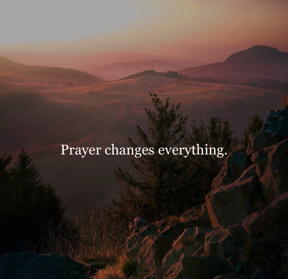 Mindful Maven (@mindfulmaven_) on Twitter photo 