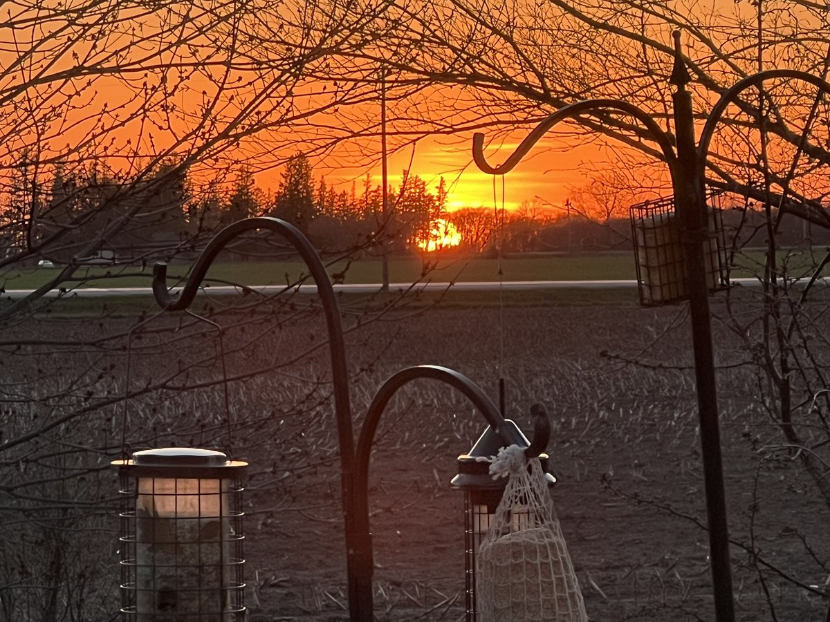 Beautiful start to earth week.