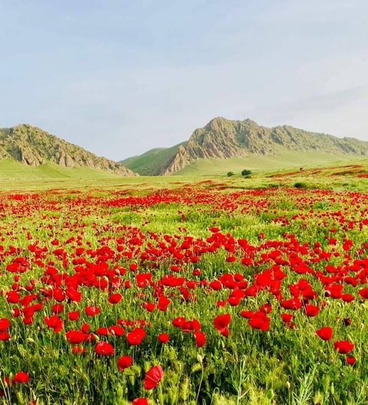 #Shingal in all of her beauty
#Yazidi #lalish #PrayForYazidis #PrinceNaifbinDawud #princenaif #sinjar #iraq #irak #yezidi #freedom #peace #together #love #sumerian #humanrights #tawsimelek #YazidiCulture #freedomofreligion #ezidi #lalish #armenianfood #armenia #photooftheday